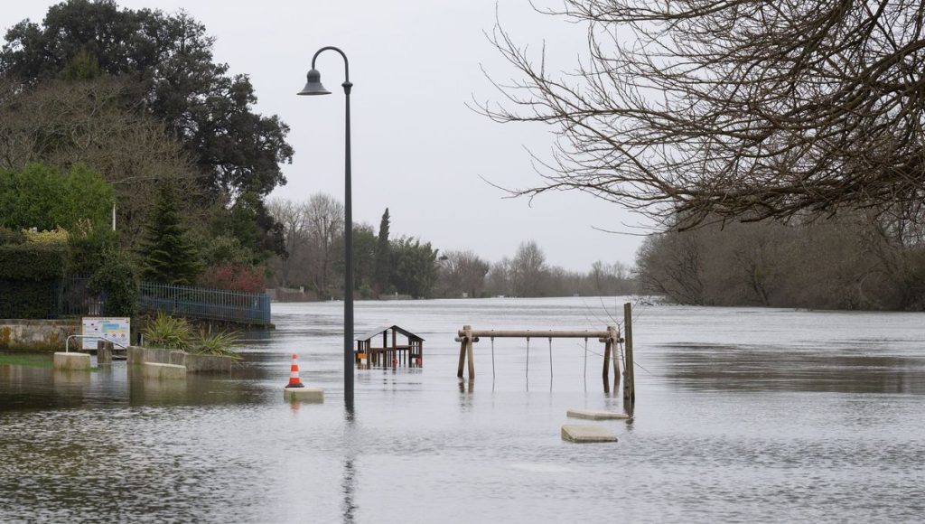 illustration agrandir l