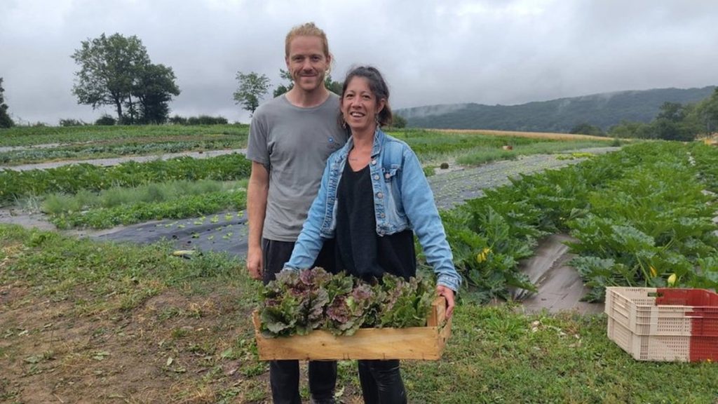 22 tonnes de patates à vendre : un couple d’agriculteurs bio propose ses pommes de terre à prix choc entre l’Aveyron et l’Hérault