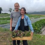 22 tonnes de patates à vendre : un couple d’agriculteurs bio propose ses pommes de terre à prix choc entre l’Aveyron et l’Hérault