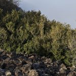 EN IMAGES Les superbes photos du Viaduc de Millau noyé sous une mer de nuages ce dimanche matin