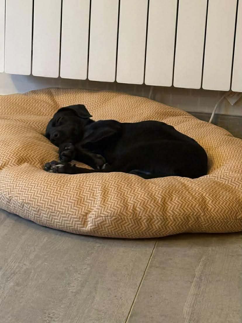 illustration agrandir l'image