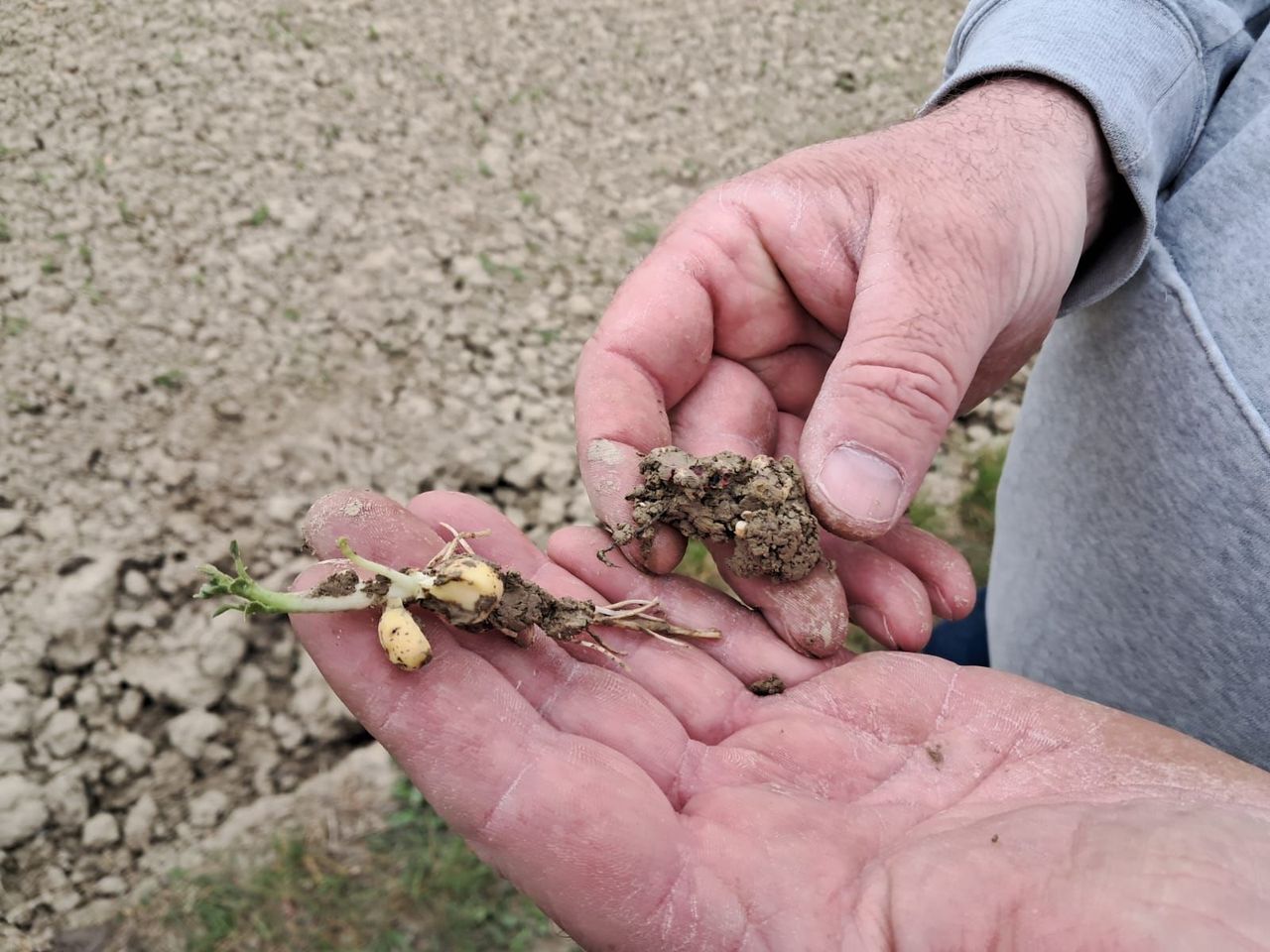 illustration agrandir l'image