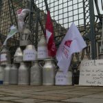 "Si ça continue les producteurs ne pourront plus se rémunérer". Prix du lait en baisse, les agriculteurs de la FDSEA manifestent à Angers