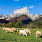 Escapades en TER : trois destinations accessibles depuis Grenoble