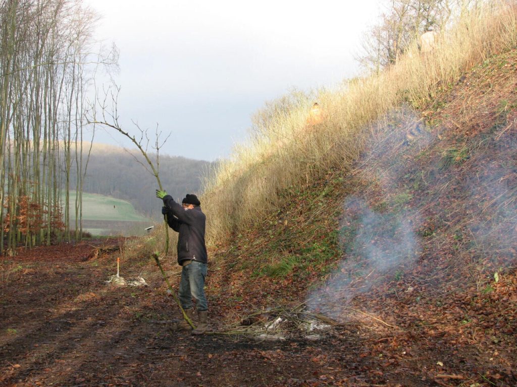 Oppidum gaulois : à Liercourt, le maire s'insurge contre un nouveau nom qui efface sa commune