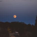 Carte du ciel et événements astronomiques de février 2026 - RTBF Actus