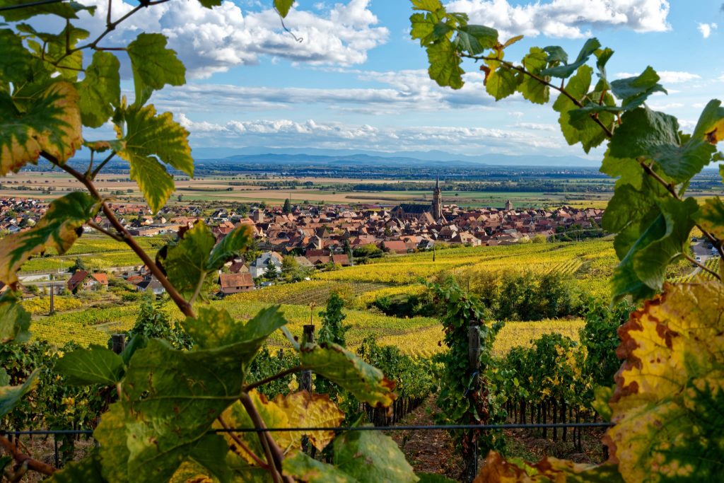 Village Préféré, Made in Alsace soutient Dambach-la-Ville ! - Made In Alsace