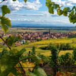 Village Préféré, Made in Alsace soutient Dambach-la-Ville ! - Made In Alsace
