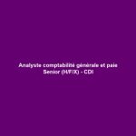 Analyste comptabilité générale et paie Senior (H/F/X) - CDI