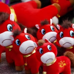 Un cheval en peluche triste, reflet du mal-être chez les jeunes en Chine