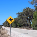 Quatre mois en Australie : une maturation personnelle en contraste avec vingt-quatre ans