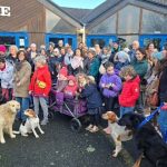 Côtes-d'Armor. Des chiens inscrits à l'école pour éviter une fermeture de classe