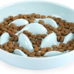 Gamelle Anti Glouton Céramique Chat, Assiette Régime Anti Vomissement pour Chat Glouton, Bol Plat pour Chaton Alimentation Lente, Rond, Vert Clair