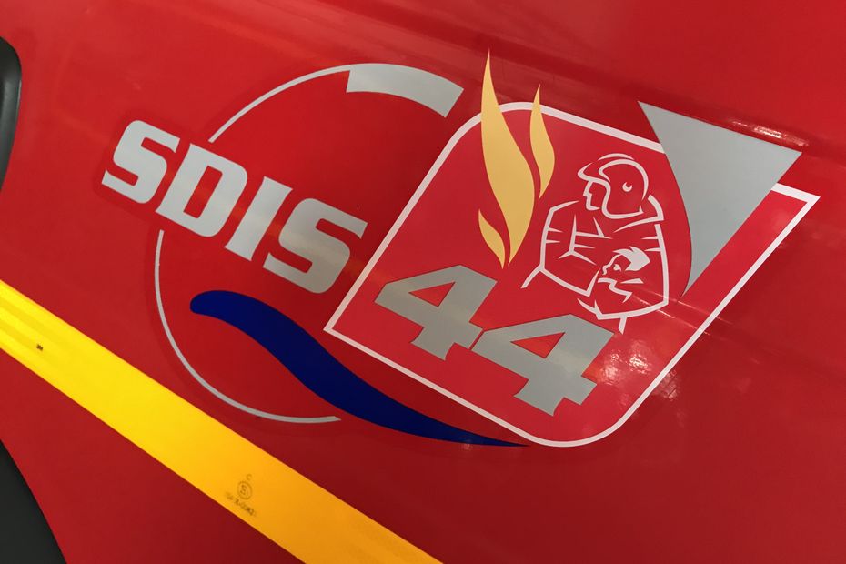 Une collision avec un sanglier provoque un double accident sur le périphérique, un piéton grièvement blessé