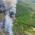 Municipales : le WWF engage les candidats à intégrer le risque feu à leur programme