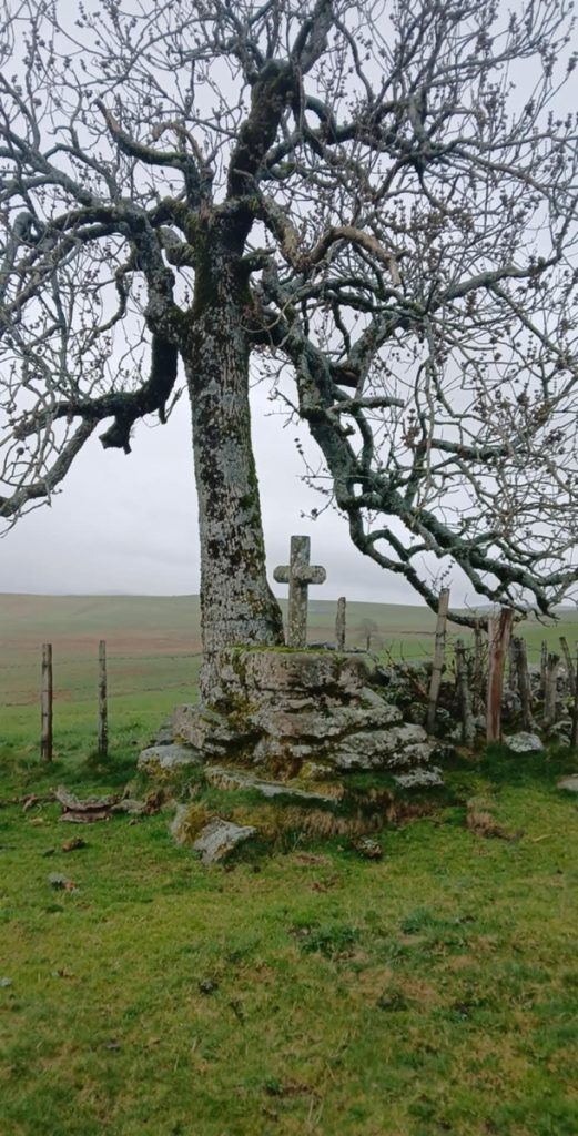 Découvrez les sentiers de randonnée à Trizac : nature et paysages à explorer