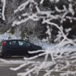 Gelées généralisées et chutes de neige : prévisions de température en Belgique