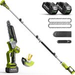 2-en-1 Mini Tronconneuse Télescopique & Elagueuse sur Perche 8 Pouces, Extension jusqu&rsquo;à 4,8 m, Tronconneuse a Batterie 8000 mAh, Système D&rsquo;huile Automatique, pour Branches et Jardin