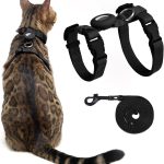 Ensemble Harnais et Laisse avec Support Airtag pour la Marche et Les Voyages, Harnais Anti-Fugue pour Chaton de Petite, Moyenne et Grande Taille, Gilet réglable, léger et Doux (Noir)