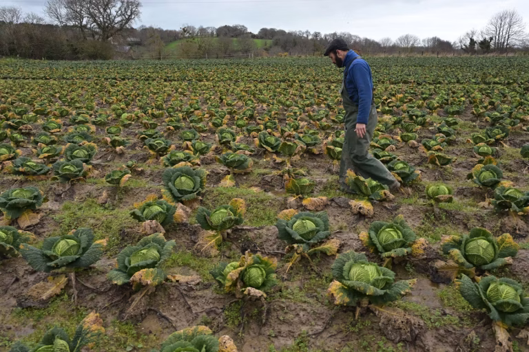 Pluies exceptionnelles de février : impacts sur les nappes souterraines et les cultures