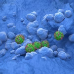 L'immunothérapie montre une efficacité accrue pour le cancer du poumon avant 15 heures