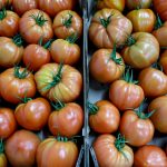 Relâche scolaire : appel aux futurs détenteurs de records à participer