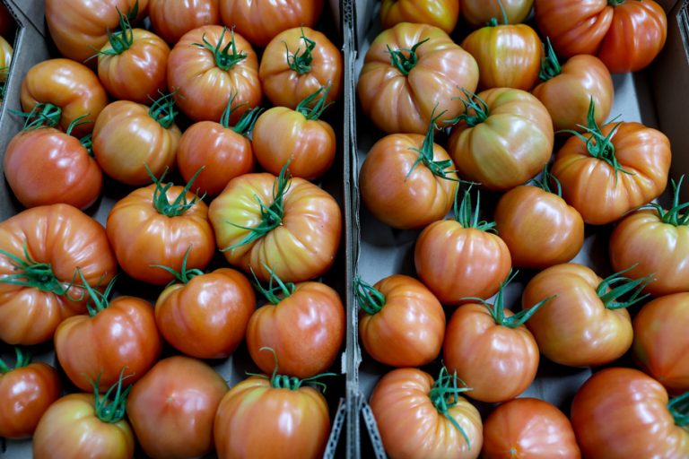 Relâche scolaire : appel aux futurs détenteurs de records à participer