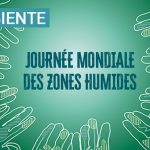 Journée mondiale des zones humides 2026 : A Cullettività di Corsica sempre impignata in a prutezzione di l’ambienti umidi