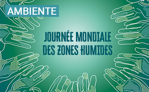 Journée mondiale des zones humides 2026 : Cullettività di Corsica engagée pour la protection des milieux humides