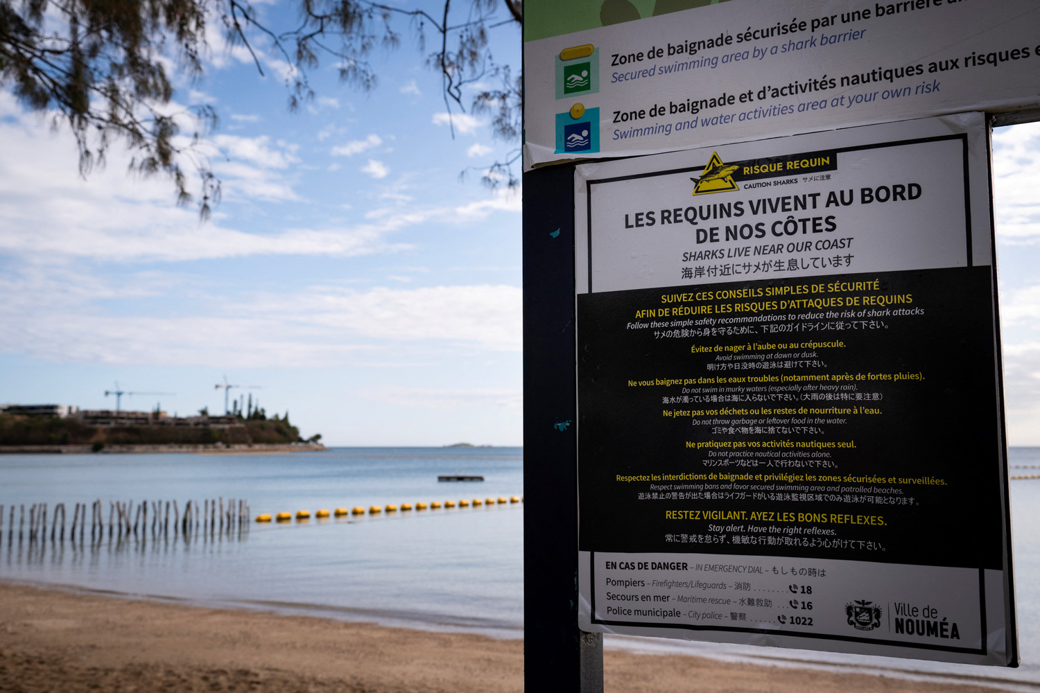 Nouvelle-Calédonie : relance de la campagne de pêche de requins après une attaque mortelle