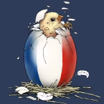 Pourquoi j'aurais préféré naître français : réflexions sur l'identité et la culture