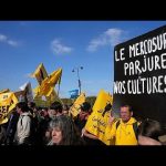 Accord Mercosur : soutien de l'UE, opposition des eurodéputés français