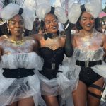 Carnaval 2026 : en noir et blanc, les carnavaliers en liesse une dernière fois