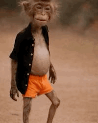 ENQUÊTE. Fraudes présumées et déficit de 6,3 millions d’euros à la Caisse autonome des règlements pécuniaires des avocats de Guadeloupe