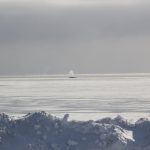 Baleines en direct : observation des grands rorquals à Godbout