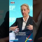L'UE, un prisonnier ? L'AfD, clé de la libération ?