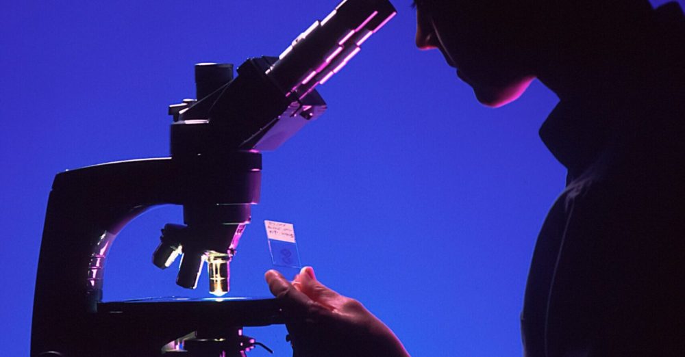 Recrutement 2026 de chercheurs et chercheuses en situation de handicap au CNRS