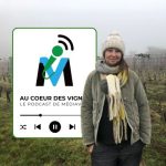 Moselle I Ève Maurice : Les promesses d’un vignoble discret cover