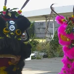 Nouvel an chinois, le cheval de feu promet une année explosive et le succès à ceux qui savent saisir les opportunités