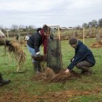 À Niort, 900 bénévoles se relaient pour planter une forêt protégée pendant 99 ans