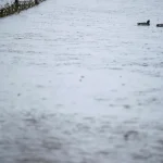 L’alerte météo étendue : douze départements placés en vigilance orange pour « crues »