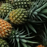 La plus grande mûrisserie de France va bientôt voir le jour dans le Nord, 400 emplois devraient