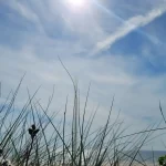 « Des niveaux comparables à ceux d’un mois de mai » : des températures printanières en