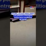 🚔 Policiers en colère : conditions de travail déplorables