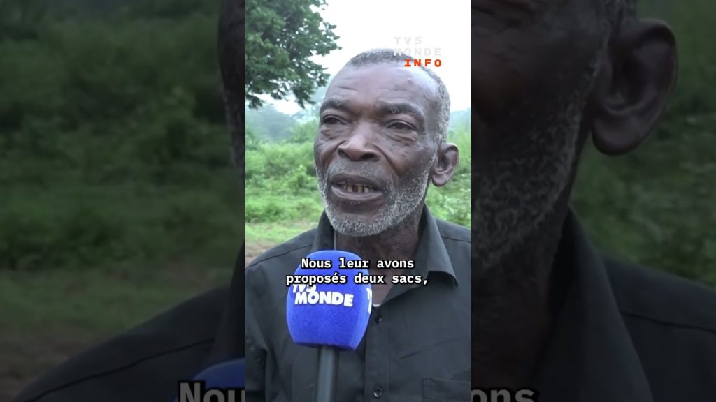 RD Congo : les miliciens Mobondo amorcent le désarmement