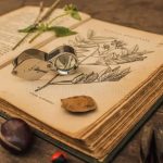 Des racines & des feuilles