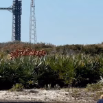 Sophie Adenot : l'astronaute qui allie exploration spatiale et poésie