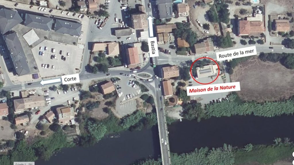 Tavignanu Vivu : Découvrez les secrets de cette rivière emblématique de Corse