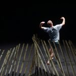 Troglodyte - Zaungast/Zaunkönig