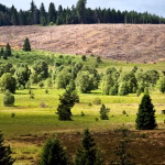 Une poubelle biologique sous nos pieds : une ressource précieuse à exploiter